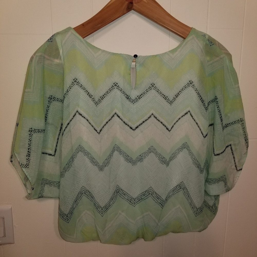 BCX womans sheer and fully lined green sz medium